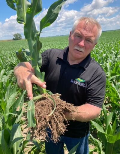 Corn Stalk Root Mass