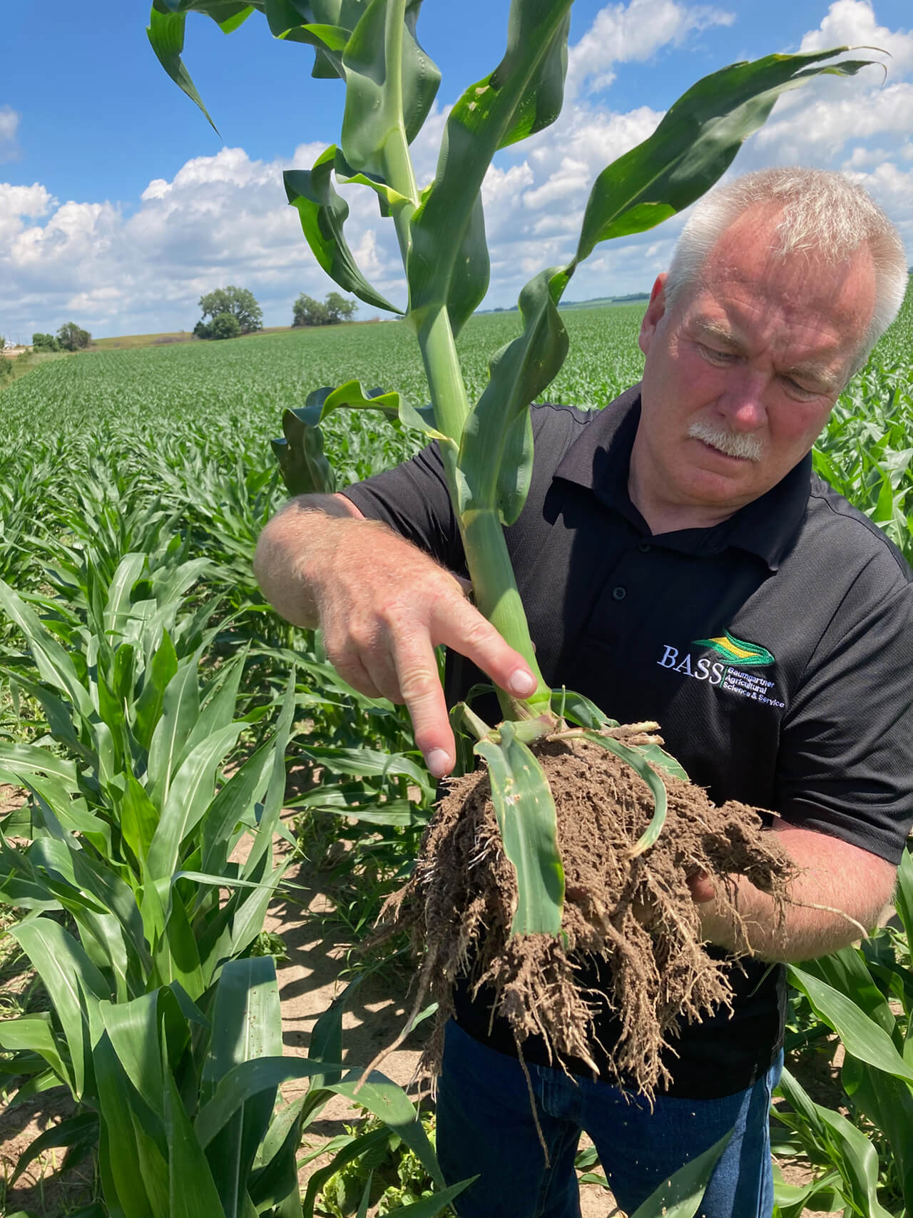 BASS Hybrids Corn Field